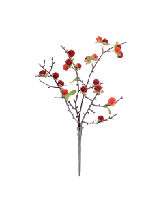 RAMO 6017-08 RIBES ROSSO CON FOGLIE