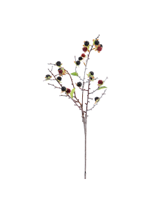 RAMO 6017-03 RIBES NERO CON FOGLIE