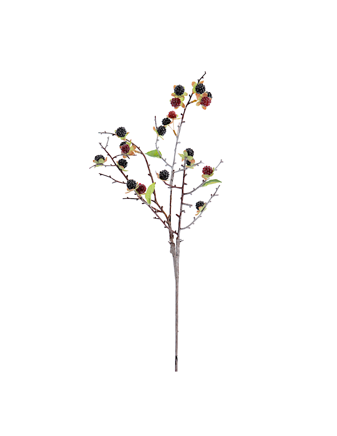 RAMO 6017-03 RIBES NERO CON FOGLIE