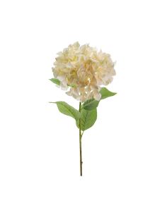 STELO 2765-31 HYDRANGEA BEIGE