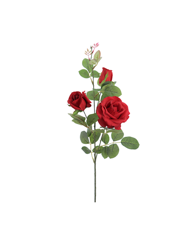 STELO 4317-08 3 ROSE ROSSE