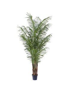 PIANTA 7564-09 PALMA 220CM