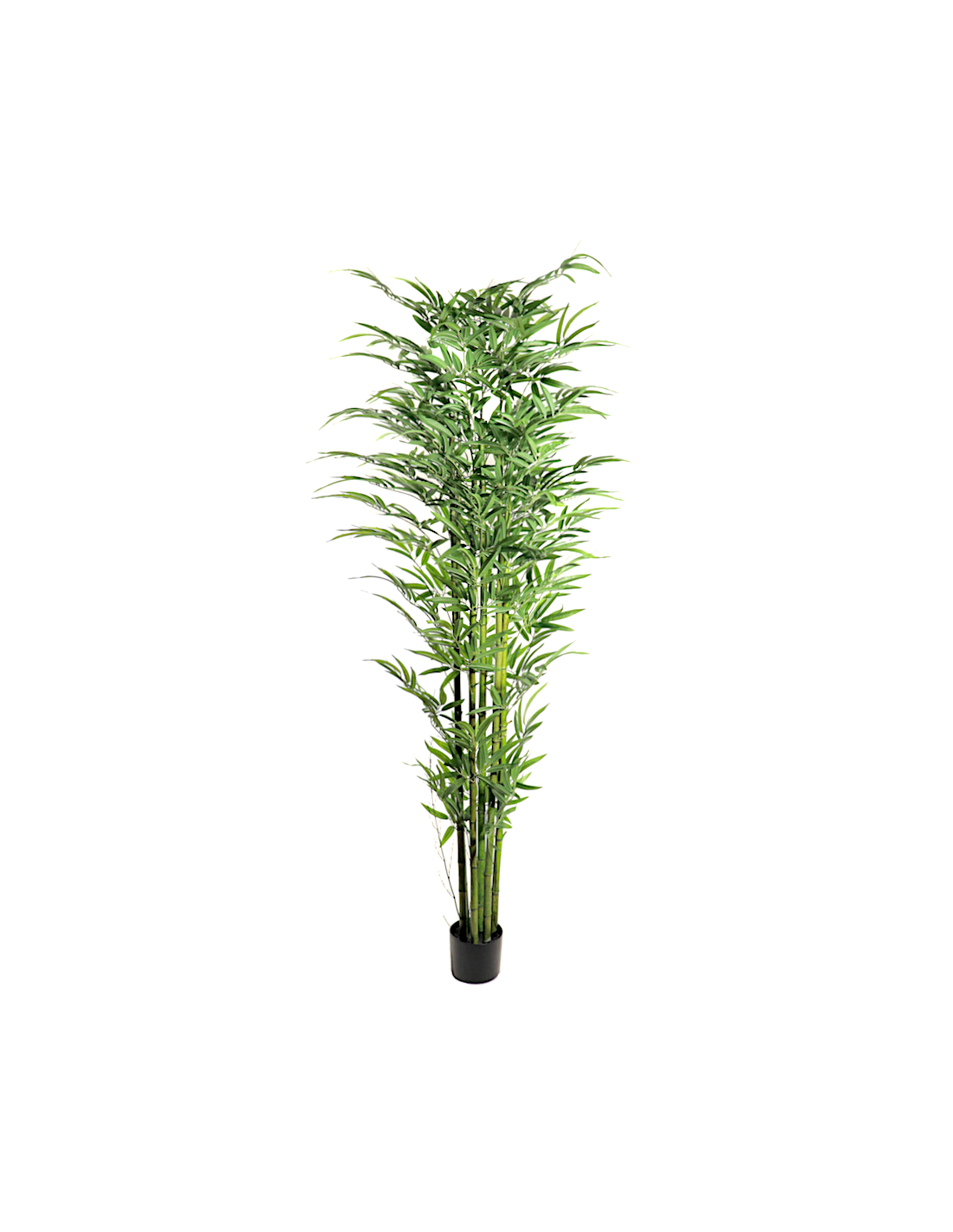 PIANTA 7592-09 BAMBOO 210CM FOGLIE GRANDI