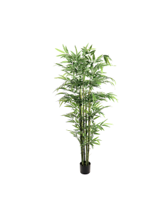 PIANTA 7591-09 BAMBOO 180CM FOGLIE GRANDI