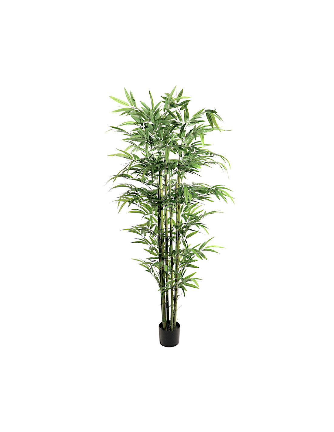 PIANTA 7591-09 BAMBOO 180CM FOGLIE GRANDI