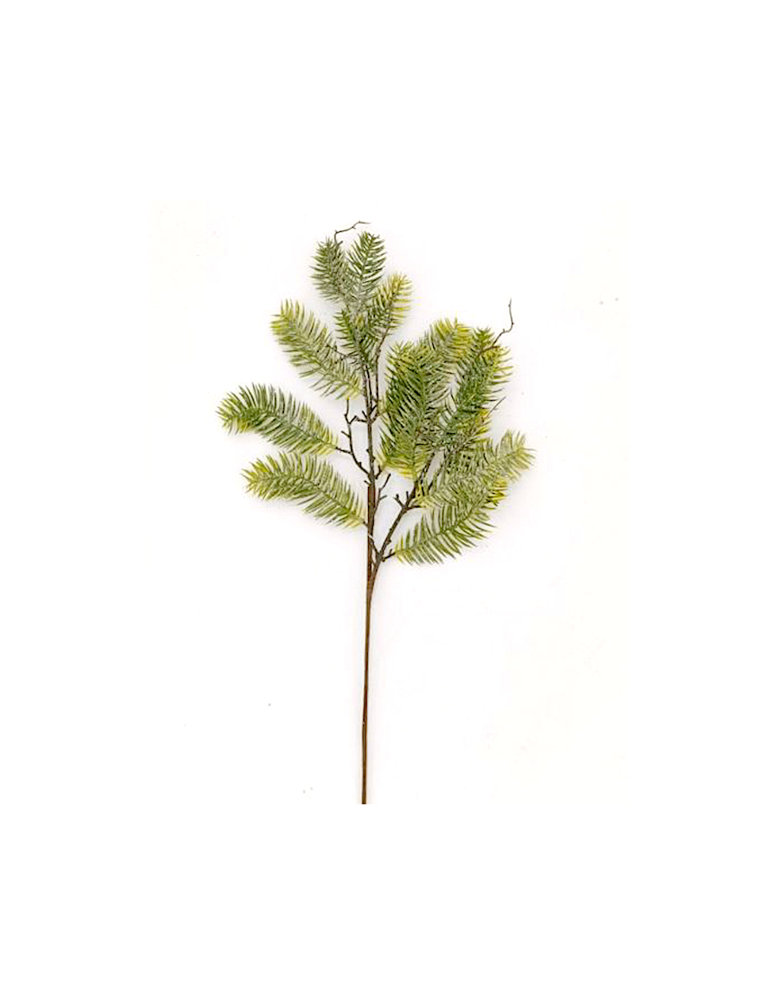 RAMO AGHI PINO PLASTICA 65CM CRISTALLO