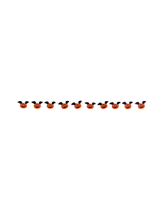 GHIRLANDA S4372 ZUCCA PIPISTRELLO 2MT