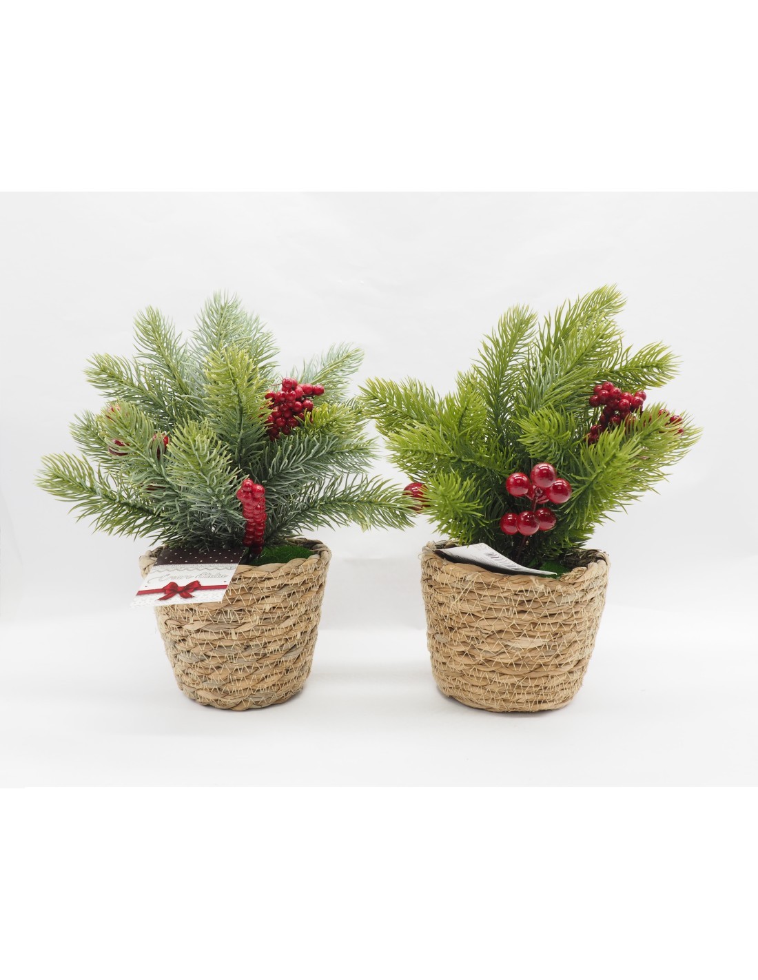 PIANTINA 37360 VASO CORDA 39X12CM ASSORTITO CON BACCHE E PIGNE