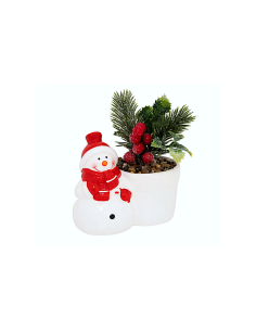 PIANTA IN VASO NATALIZIO ASSORTITO H13CM CERAMICA