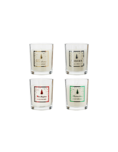 CANDELA PROFUMATA VETRO 210GR FRAGRANZE ASSORTITE