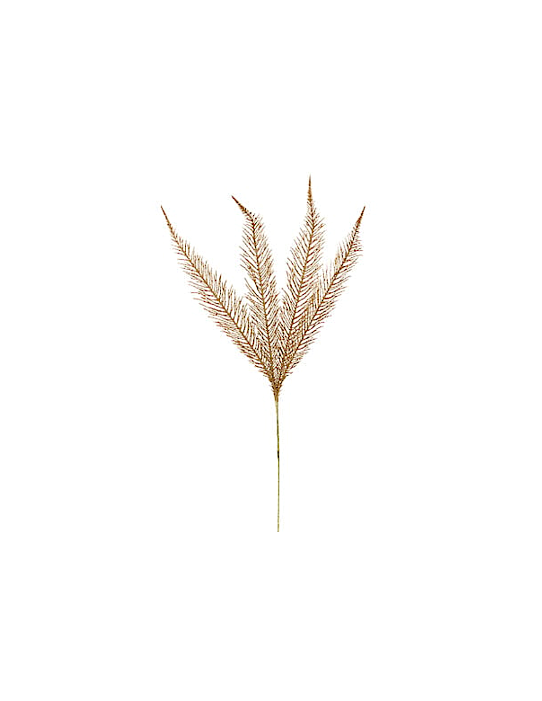 RAMO CIPRESSO 75CM DORATO