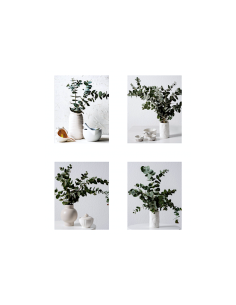 QUADRO 107445 60X60CM ASSORTITO