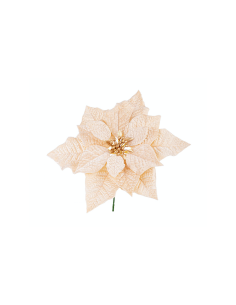 PICK POINSETTIA JANEL CHAMPAGNE 23CM