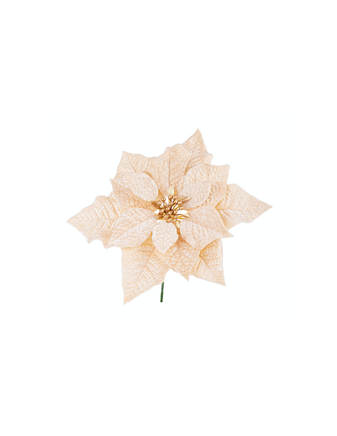 PICK POINSETTIA JANEL CHAMPAGNE 23CM