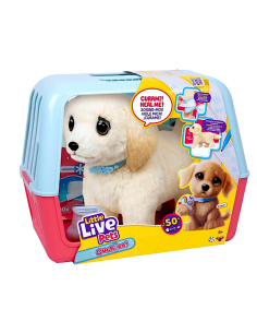 LIVE PETS 20486274 OUCHIES LABRADOR
