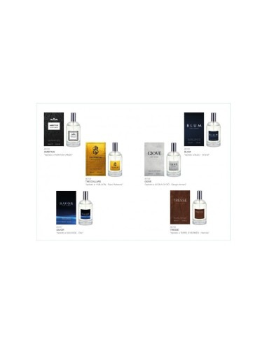 PROFUMO UOMO 80104 THE DOLLARS 100ML su TreG Ingrosso