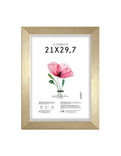 CORNICE QUADRA 21X29,7 ORO
