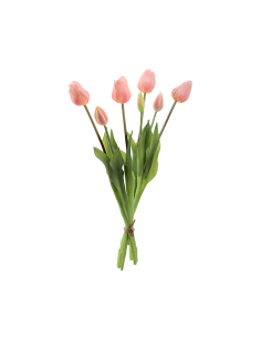 MAZZO 2752-12 TULIPANI ROSA