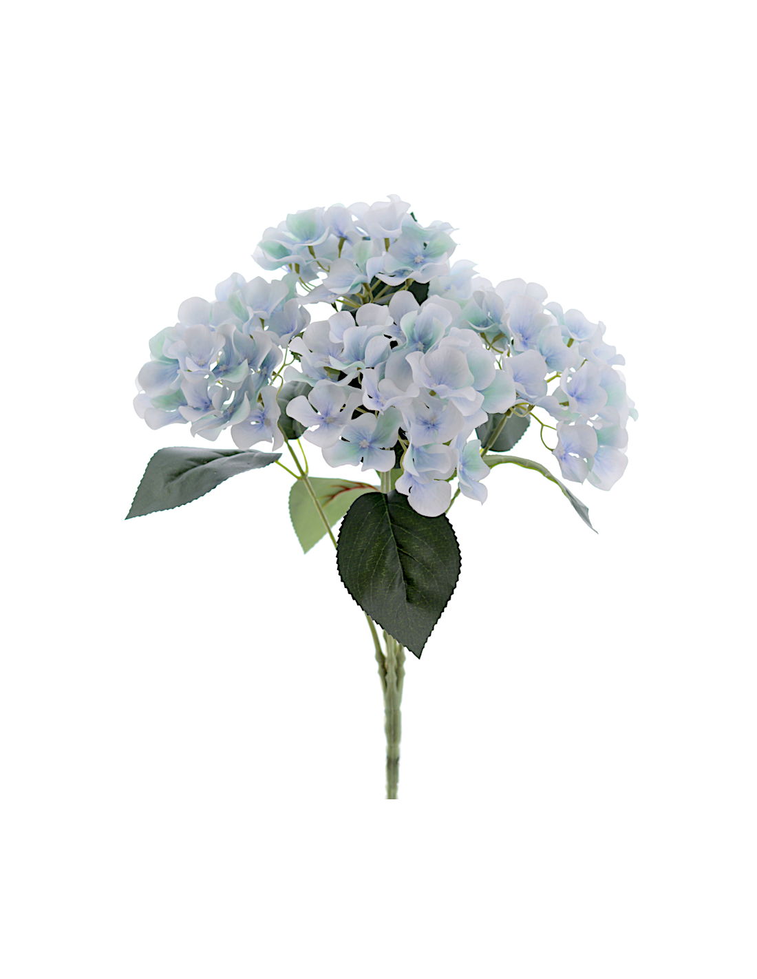 STELO 3304-10 ORTENSIA AZZURRA