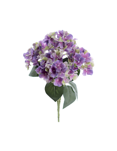 STELO 3304-16 ORTENSIA VIOLA