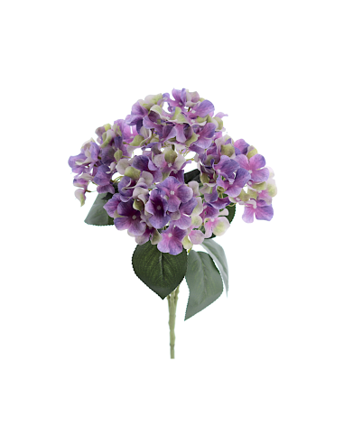 STELO 3304-16 ORTENSIA VIOLA