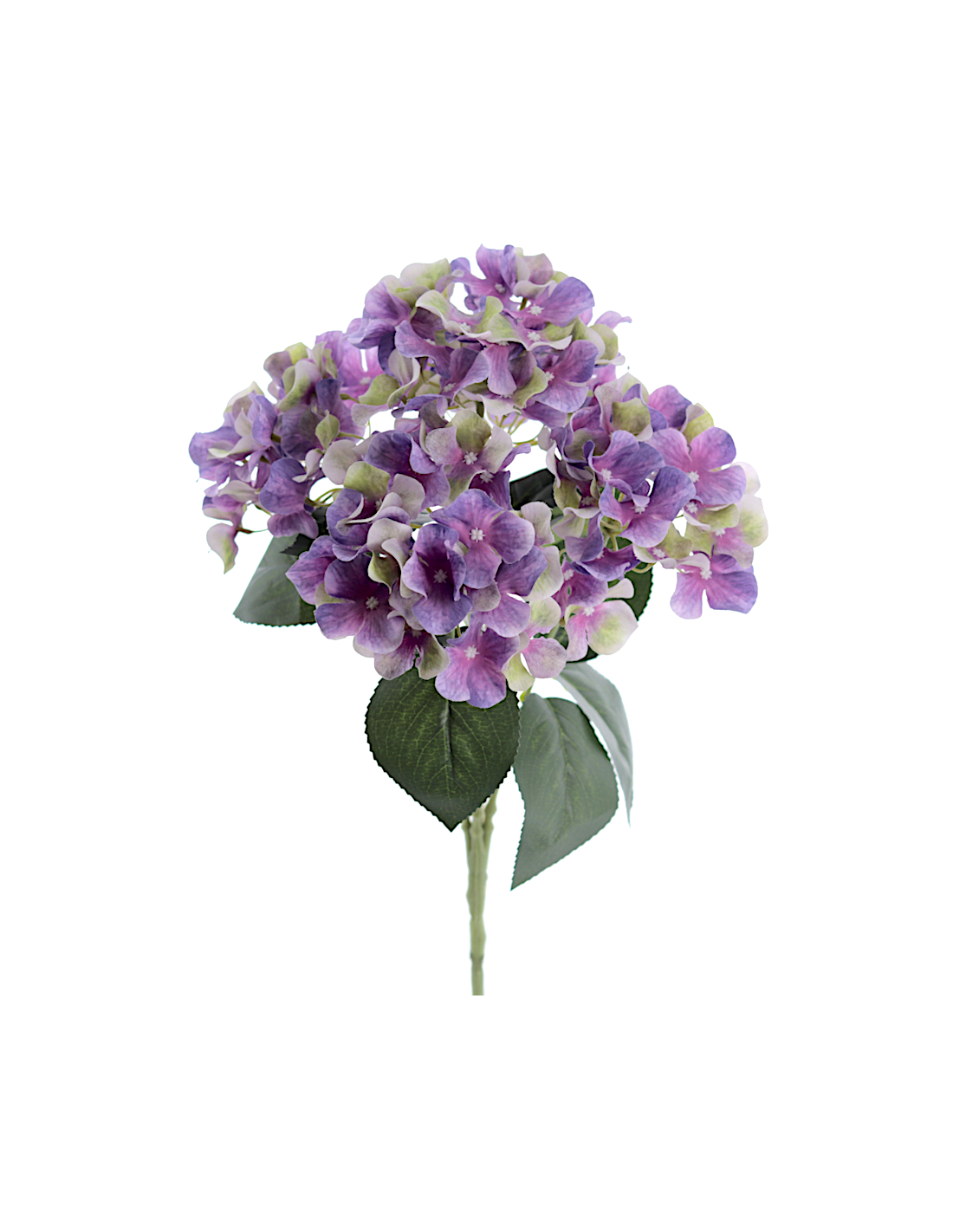 STELO 3304-16 ORTENSIA VIOLA