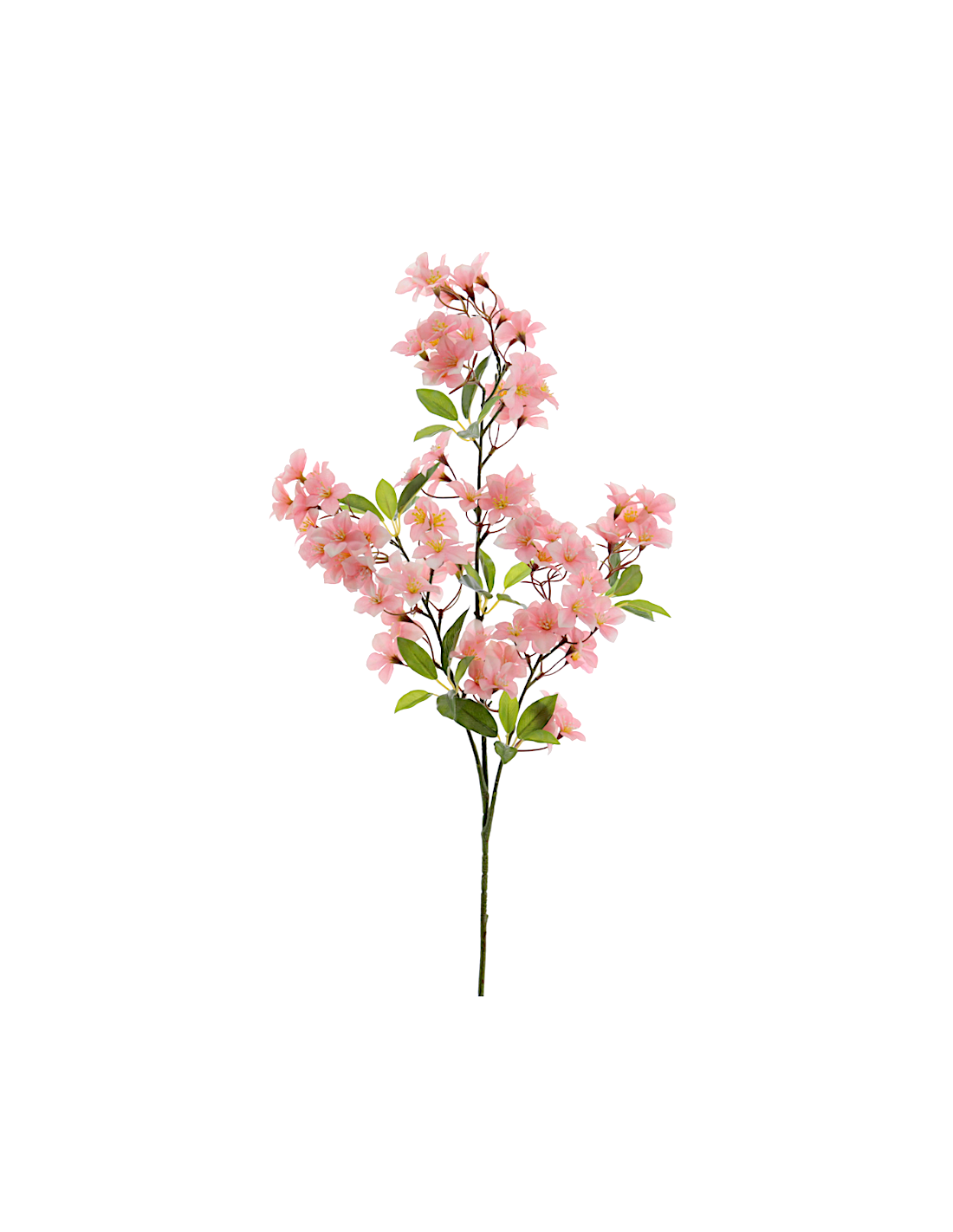 STELO 4780-12 FIORI MANZANO ROSA