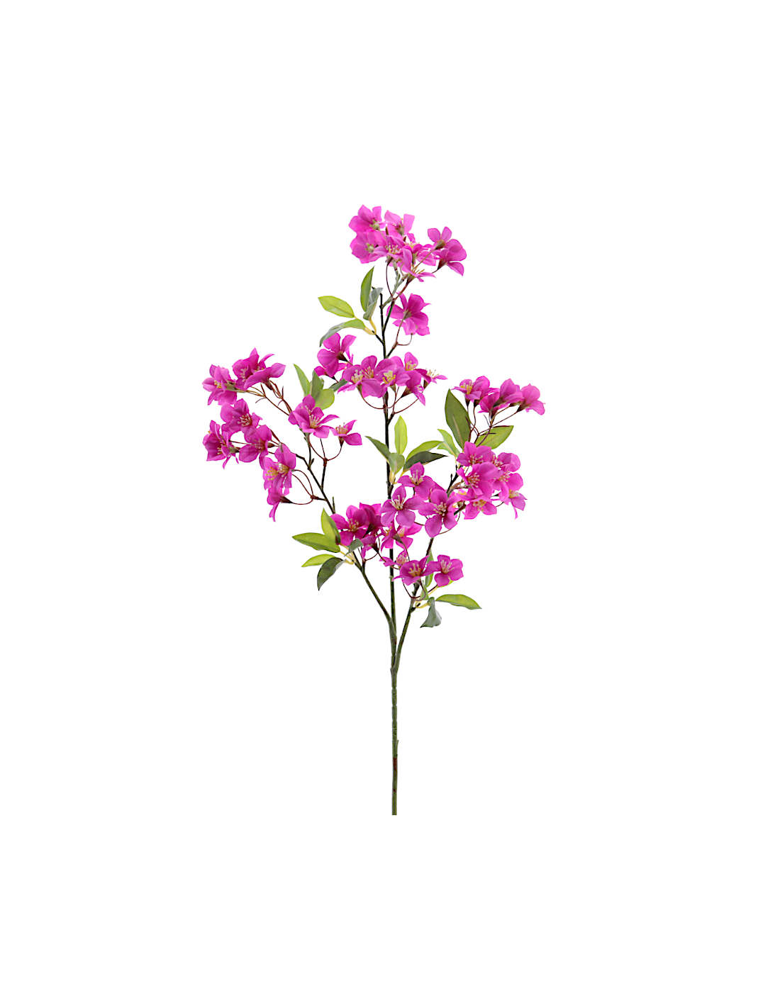 STELO 4780-07 FIORI MARZANO FUCSIA