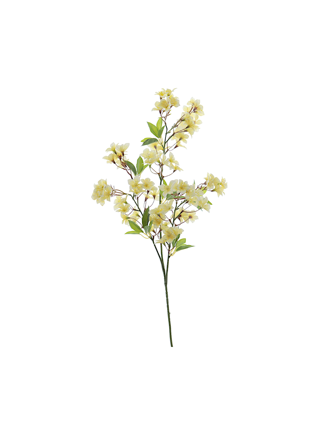 STELO 4780-02 FIORI MANZANO GIALLI