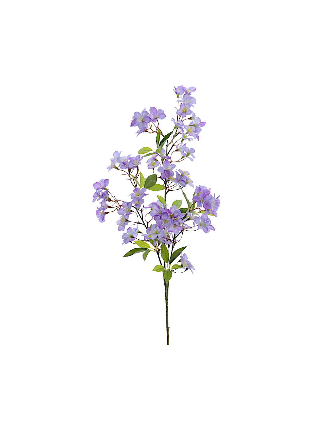 STELO 4780-74 FIORI MANZANO LAVANDA
