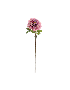 FIORE 1438-07 ROSA GRANDIFLORA FUCSIA