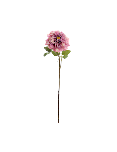 FIORE 1438-07 ROSA GRANDIFLORA FUCSIA