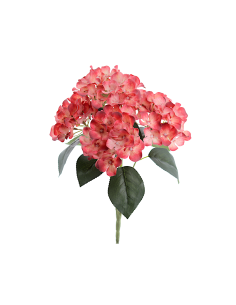 STELO 3304-24 ORTENSIA CORALLO