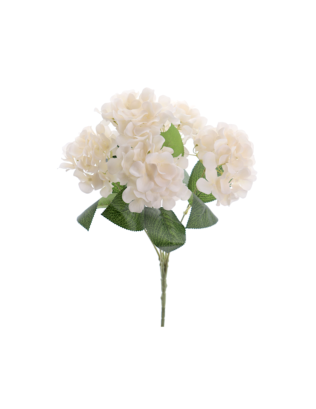 STELO 3304-31 HYDRANGEA BEIGE