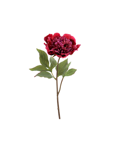 FIORE 1423-17 PEONIA BORDEAUX