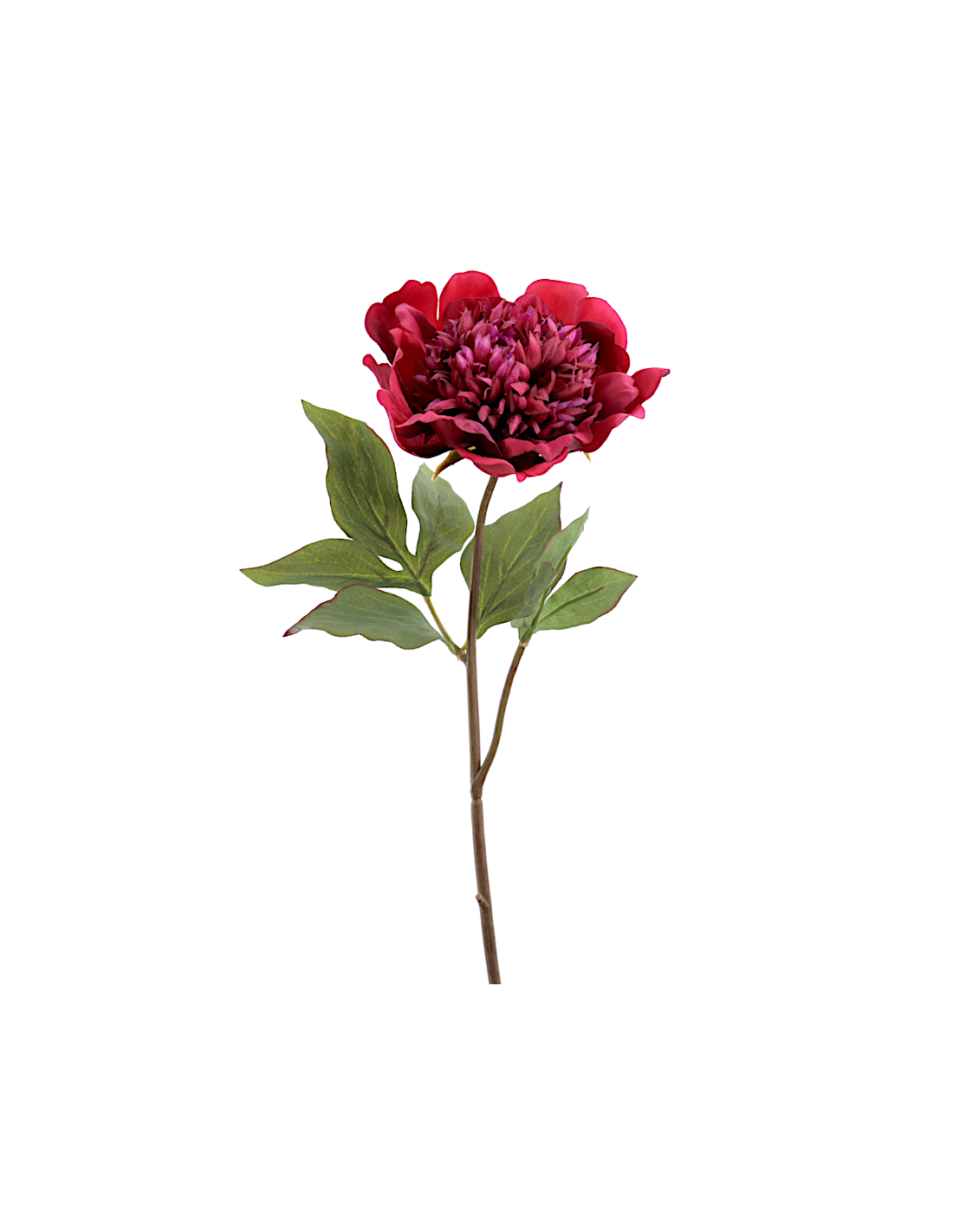 FIORE 1423-17 PEONIA BORDEAUX