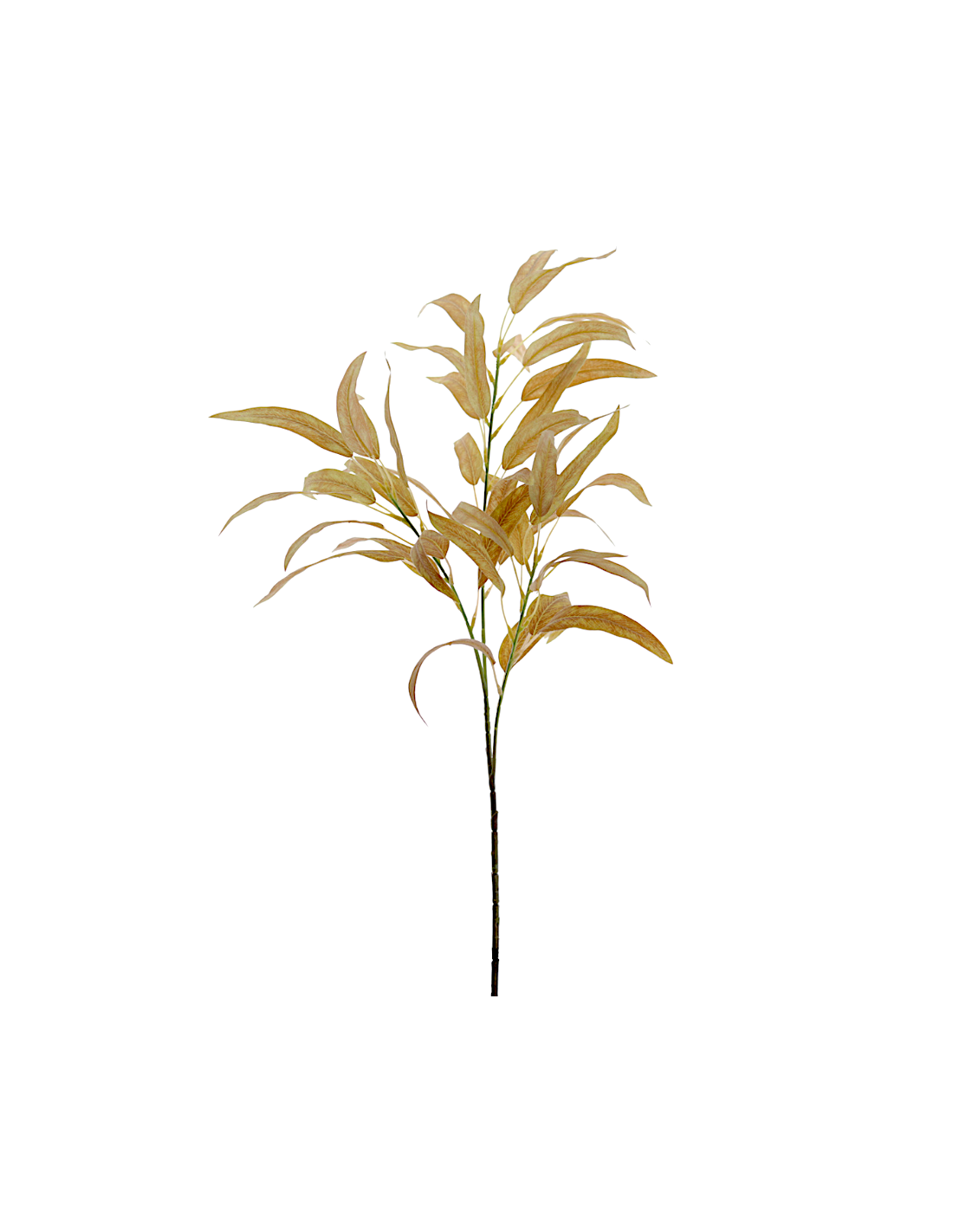 RAMO 2636-34 FOGLIE EUCALIPTO MARRONI