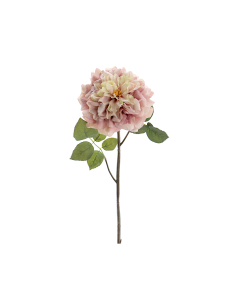 FIORE 1438-51 ROSA GRANDIFLORA ROSATA