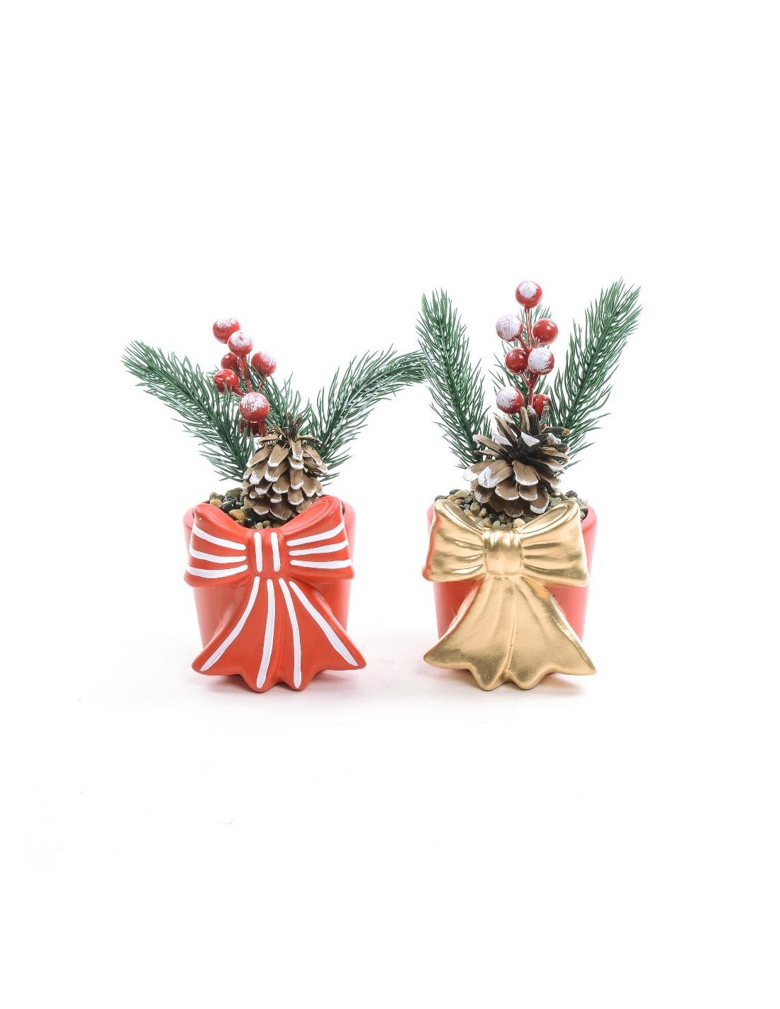 piantina natalizia h19 cm in vaso di ceramica assortita