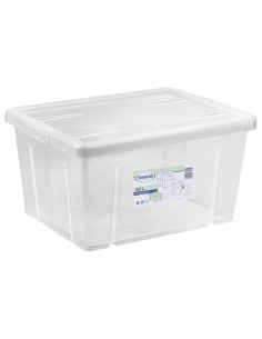 BOX 4321 29L CON COPERCHIO TRASPARENTE su TreG Ingrosso