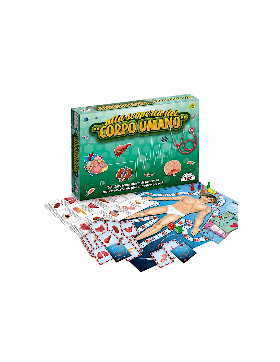 137 GIOCO ALLA SCOPERTA DEL CORPO UMANO