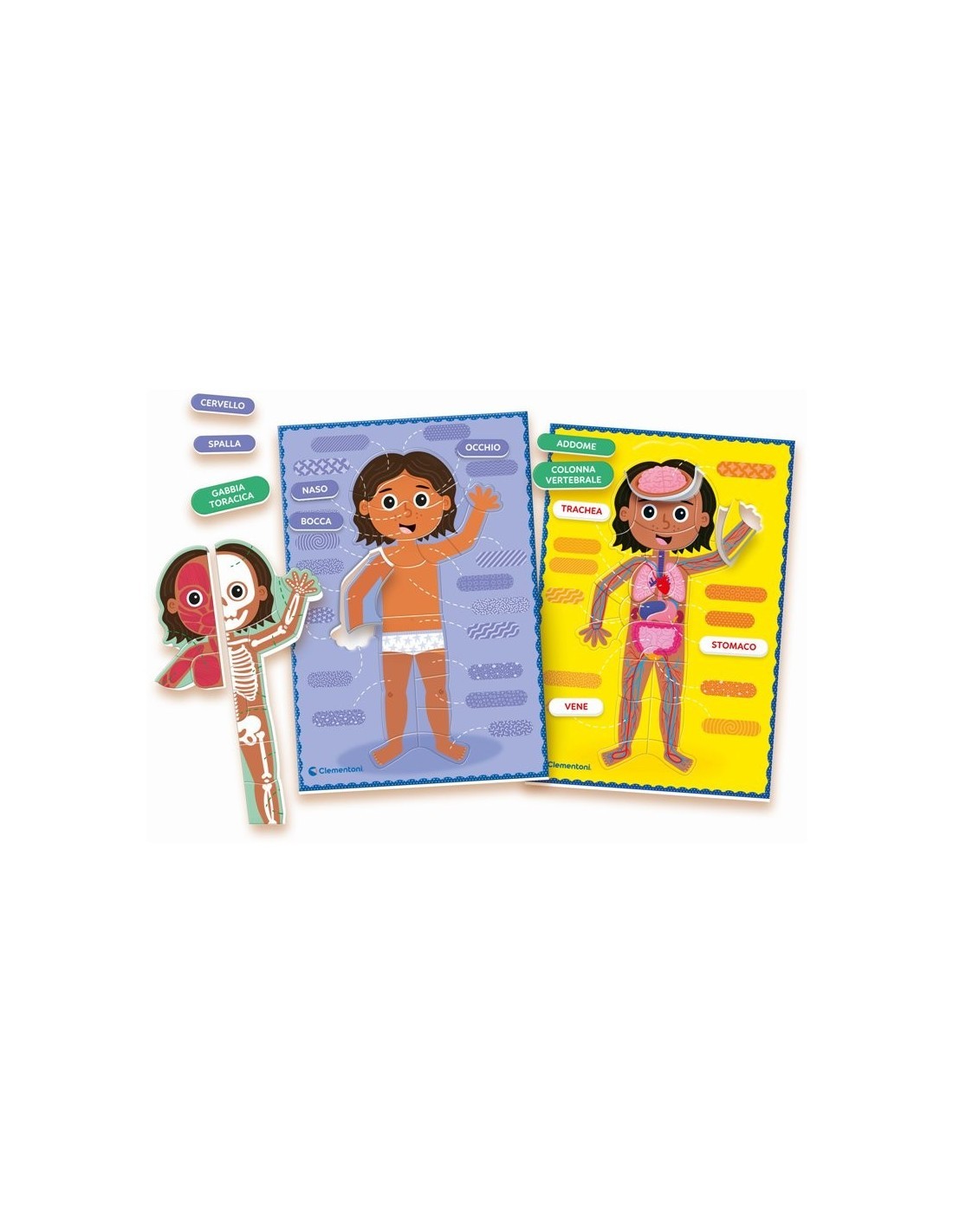 MONTESSORI 16876 IL CORPO UMANO