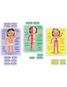 MONTESSORI 16876 IL CORPO UMANO