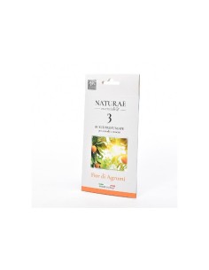 CONF 3 BUSTE 08296 AGRUMI 10X20CM su TreG Ingrosso