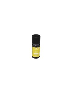 OLIO ESSENZIALE 184734E LIMONE 10ML su TreG Ingrosso