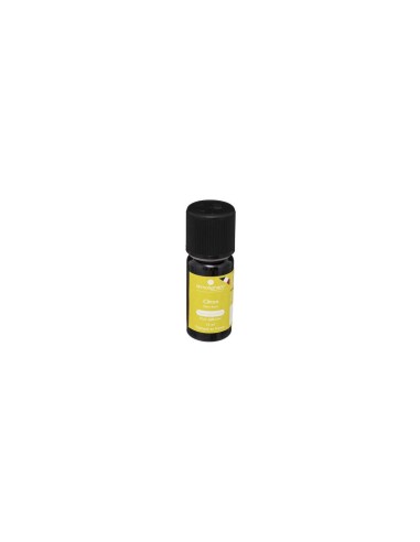 OLIO ESSENZIALE 184734E LIMONE 10ML su TreG Ingrosso