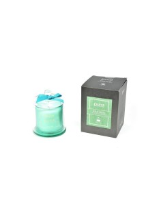 CANDELA 02566 WILD MUSK 150GR CAMPANA VETRO