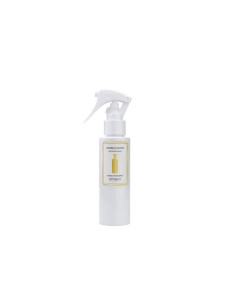 INTENSO PROF SPRAY 100ML ZENZERO/LIMONE su TreG Ingrosso