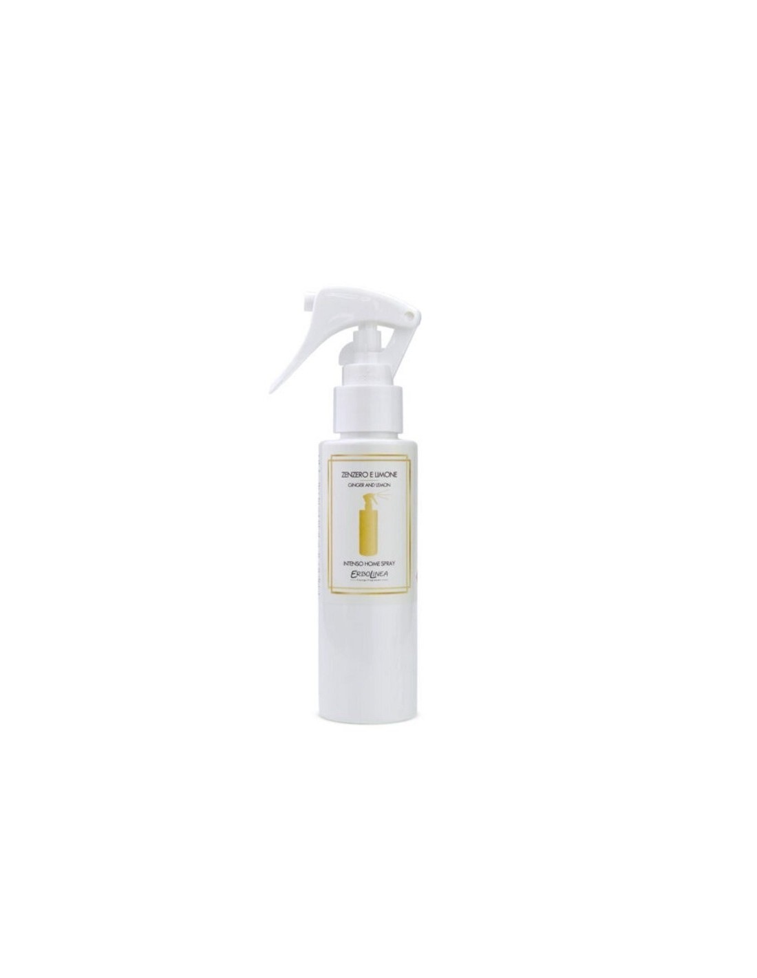 INTENSO PROF SPRAY 100ML ZENZERO/LIMONE su TreG Ingrosso