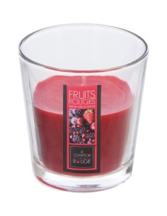 Set profumatore per ambiente Fruits Rouges con bruciaprofumi e 8 oli da 10 ml – Atmosphera